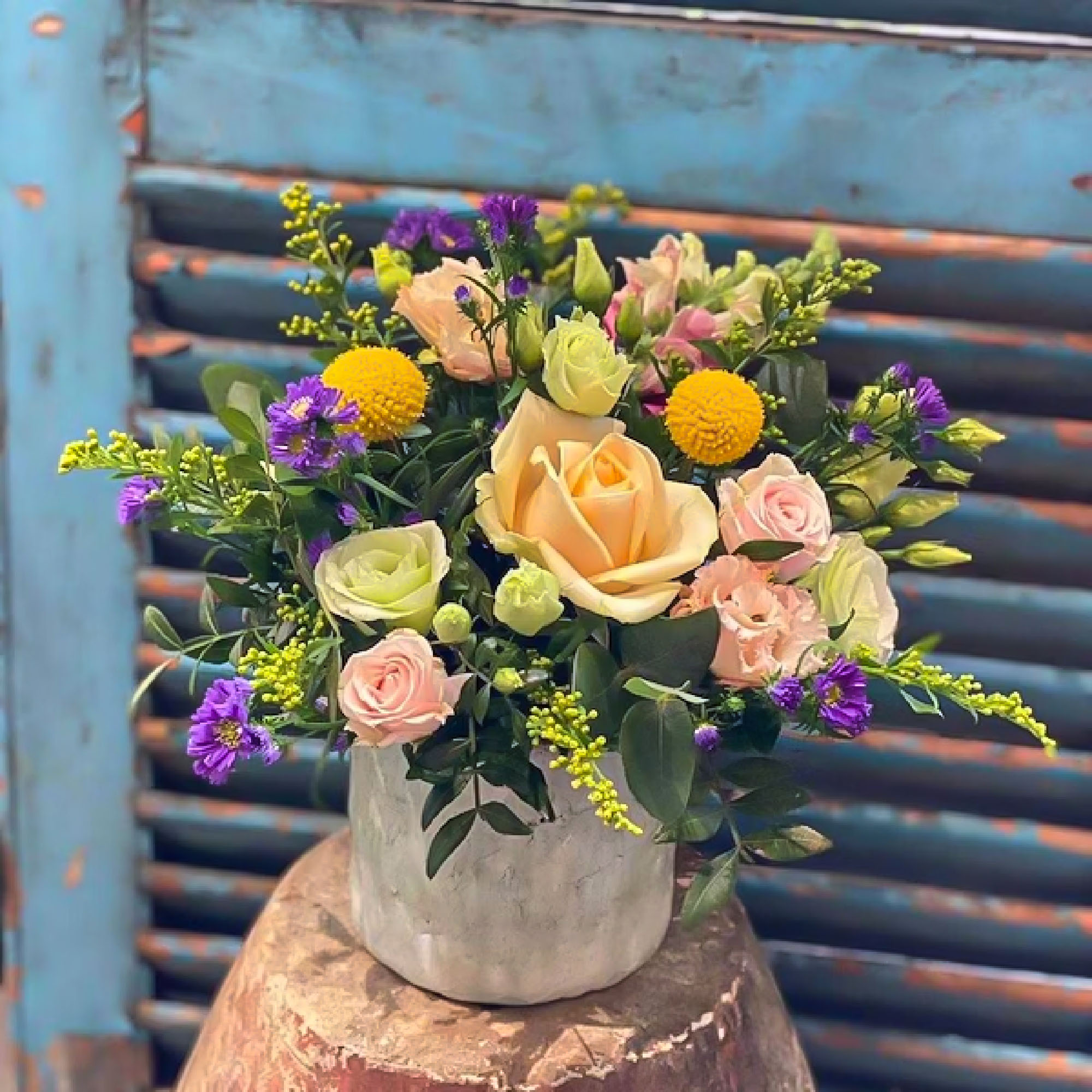 Mercato Metropolitano - Mayfair - Nunhead Gardener